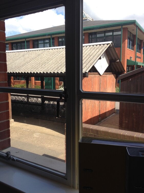 Window.JPG