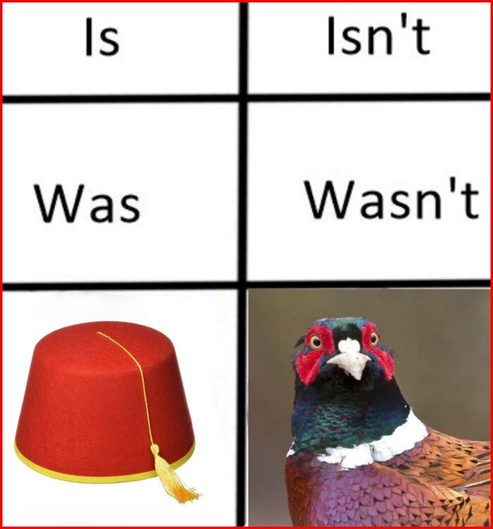 Words And Their Opposites.jpg