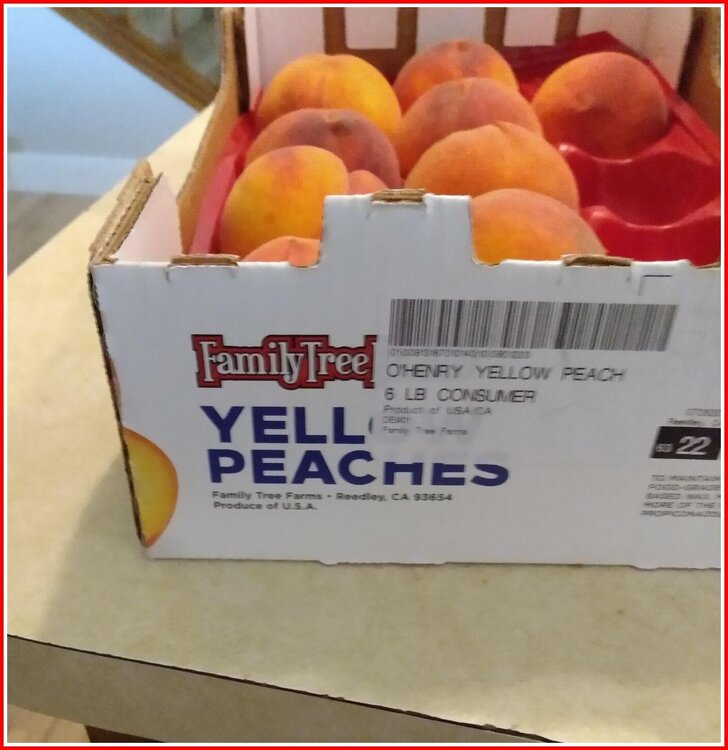 Yell Peaches.jpg