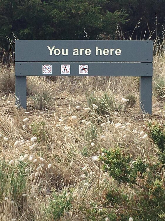 You Are Here.jpg