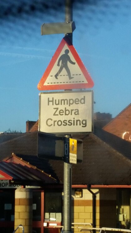 Zebra Crossing.jpg