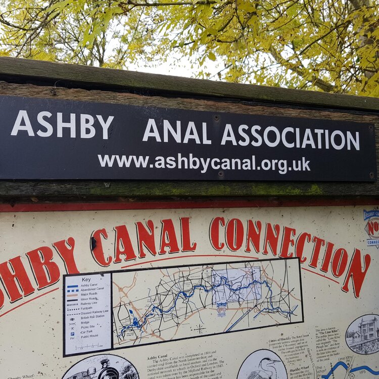 anal association.jpg