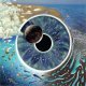 aicrd