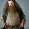 KingHagrid