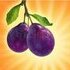 Angry_Plums