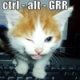 InterwebsGuy