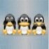 TotalGeek