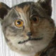 mr_moonface