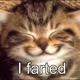 broken_url