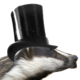 BadgerPatrol
