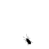 tsutton