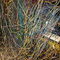 networkmangler