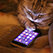 DazzaDog