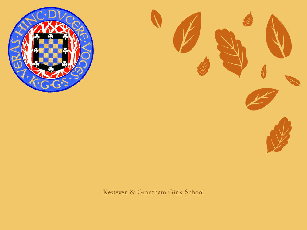 background1024x768.jpg