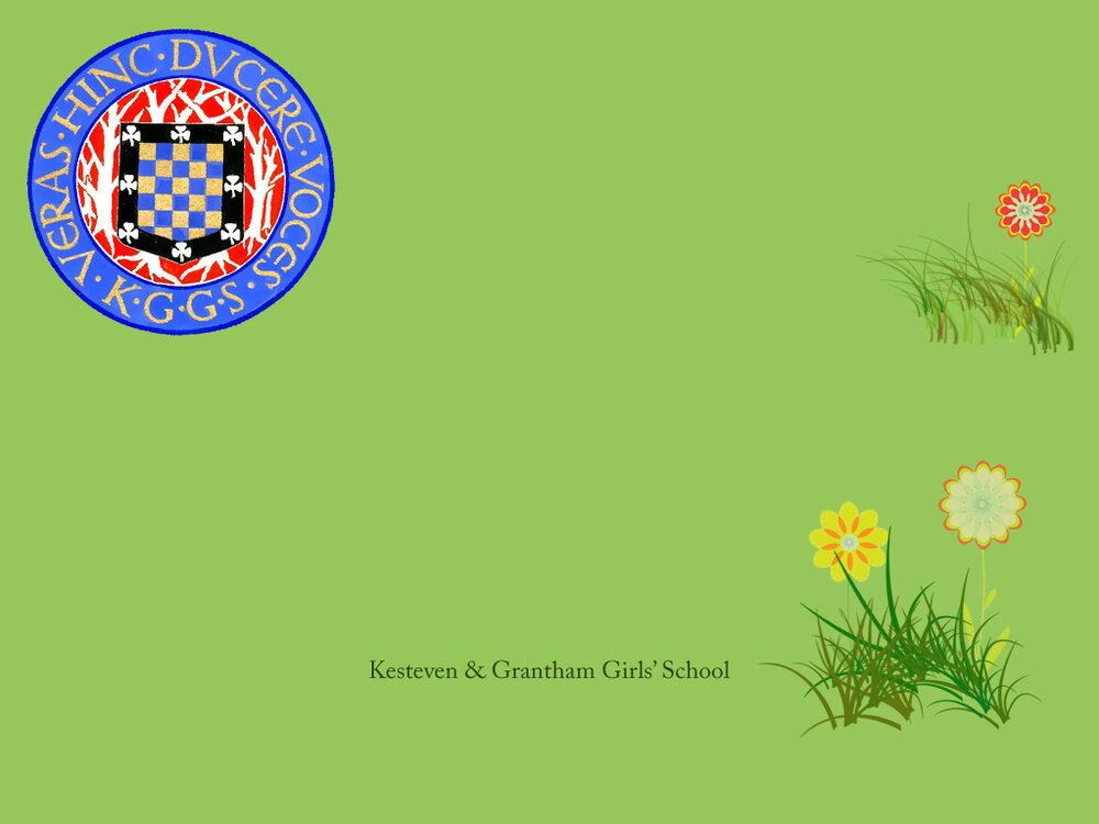 background1024x768.jpg
