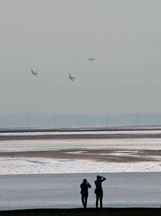 bbmf2.png