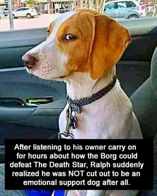 borg death star.jpg