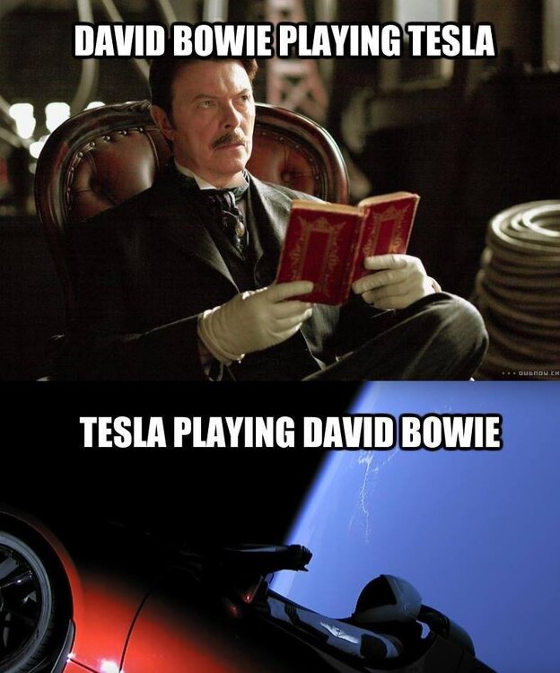 bowielol.jpg