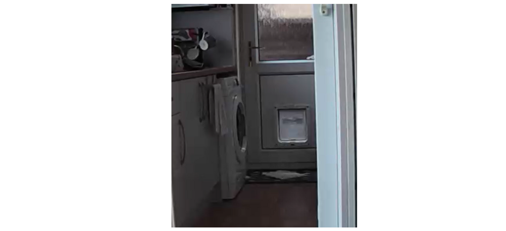 catflap.png