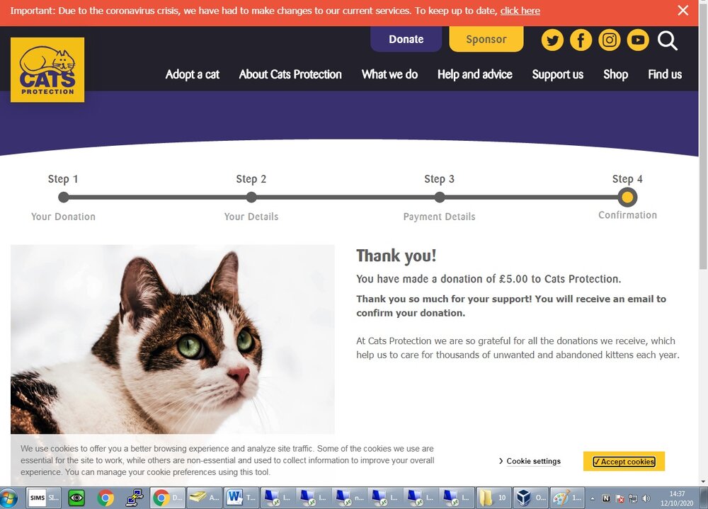 catsdonation.jpg