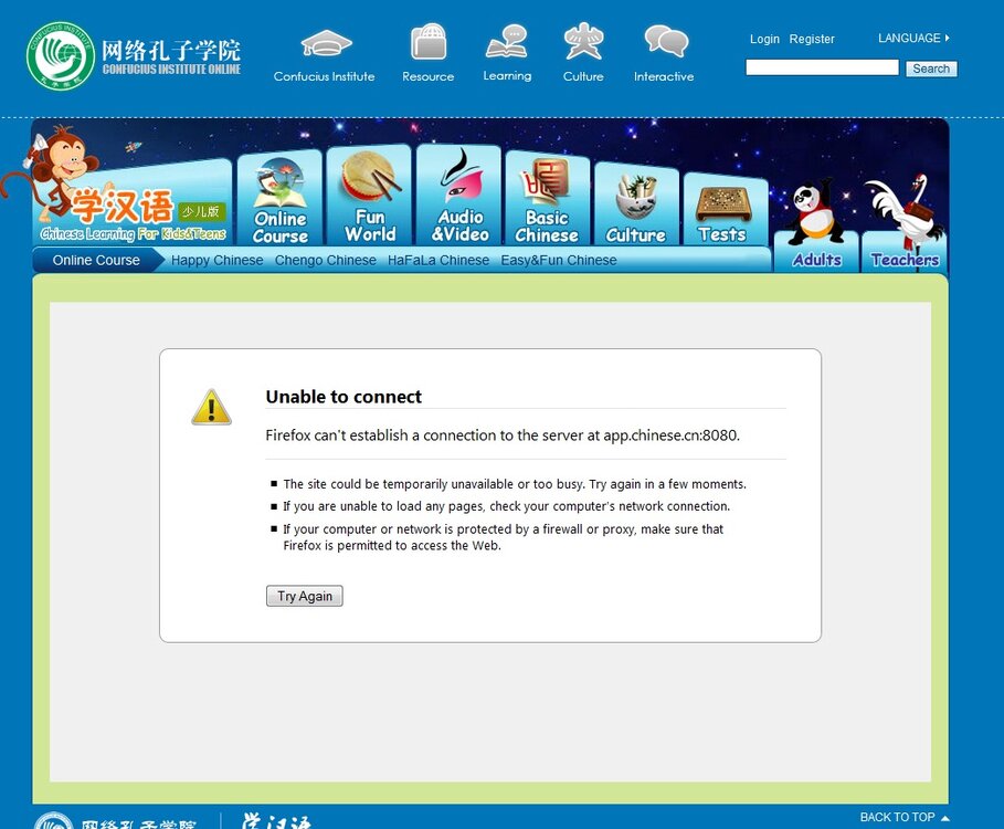 chinese website.jpg