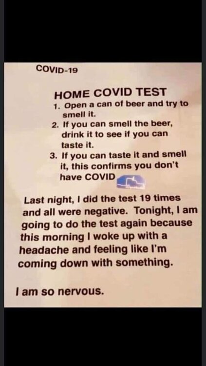 covid test.jpg