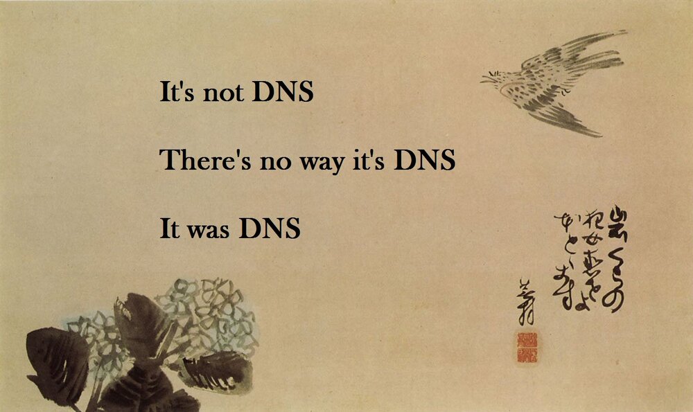 dns.jpg