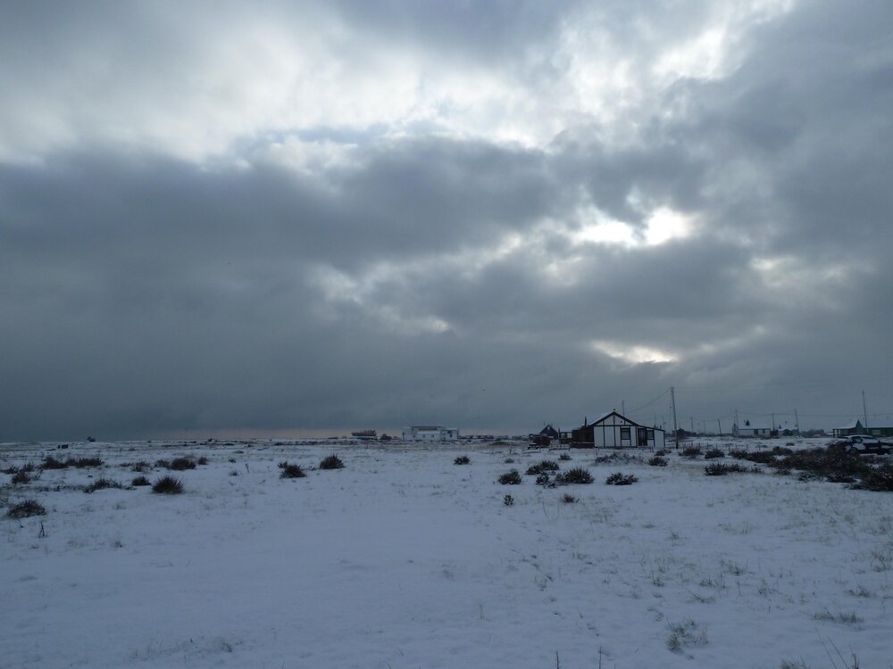 dungeness.jpg