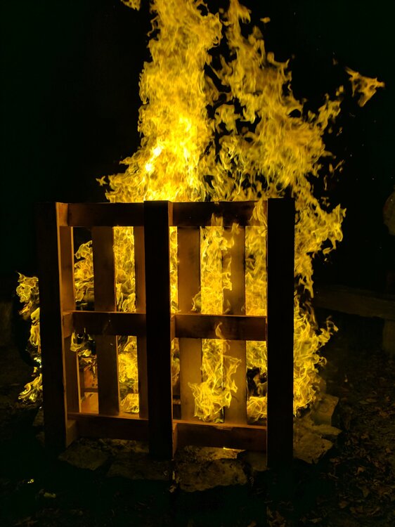 fire 1.jpg