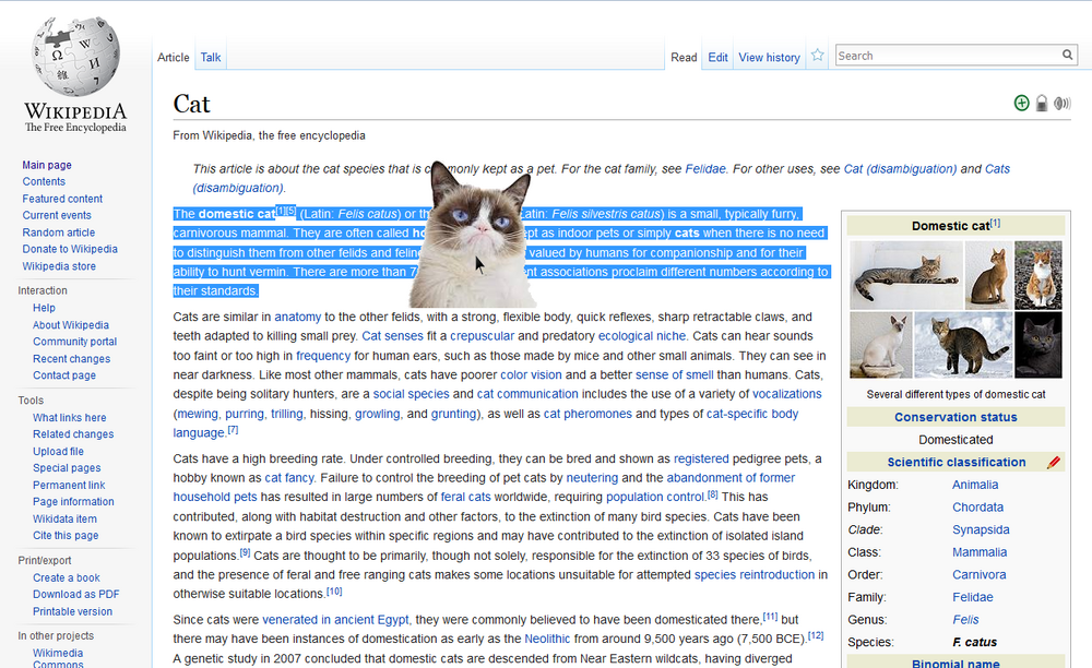 highlighttextwithcat.png