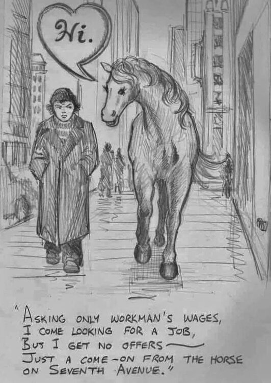 horse.jpg