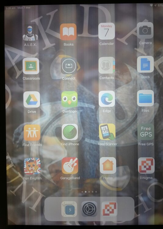 iPad fault.JPG