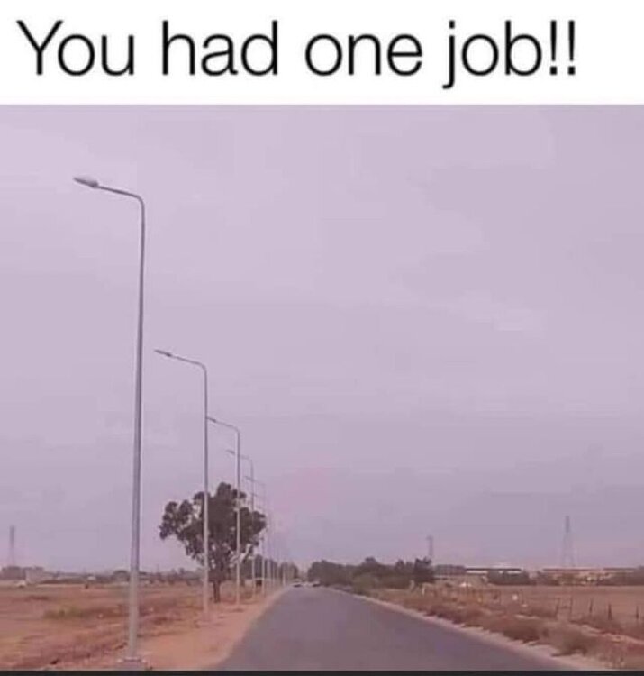 lamp posts.jpg