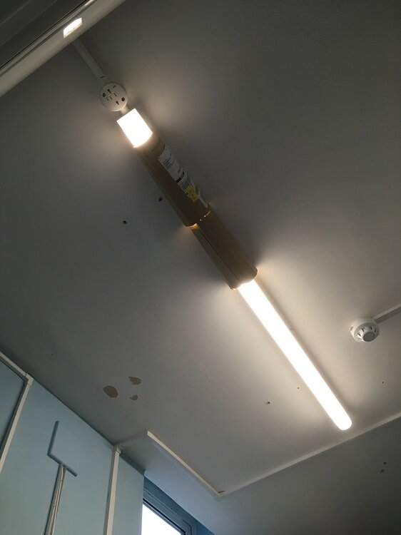 lightsmall.jpg