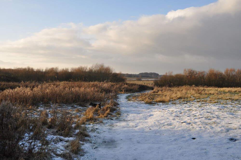 lunt-snow.jpg