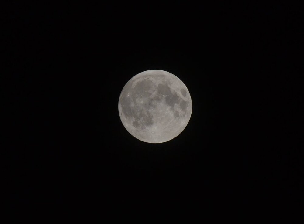 moon.jpg