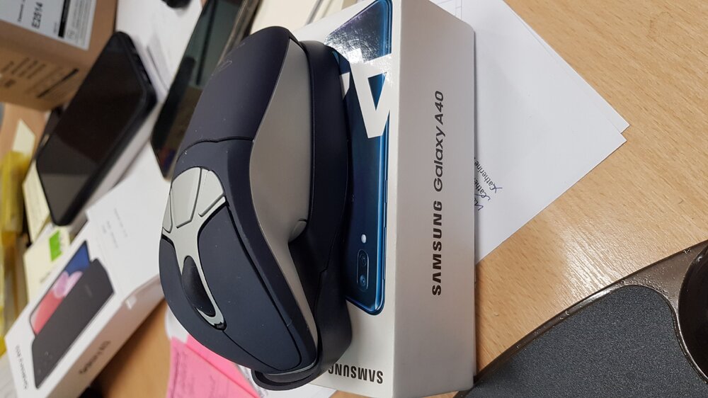 mouse.jpg