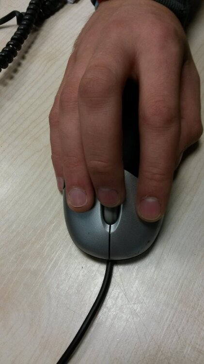 mouse.jpg