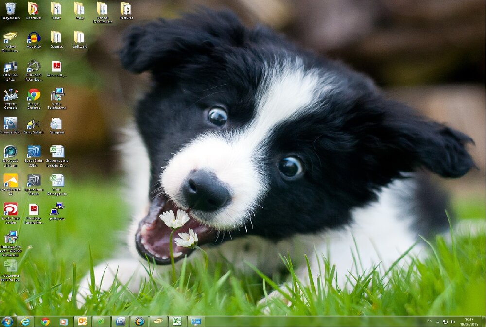 new background.jpg