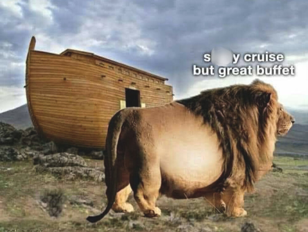 noahs arc.JPG