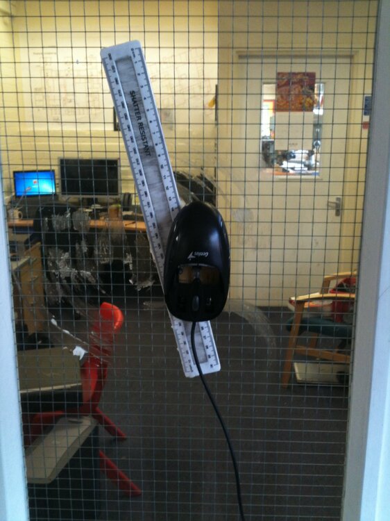 office door mouse 2.jpg