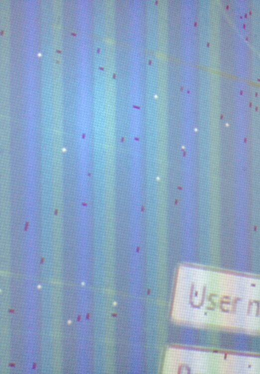 photo.JPG