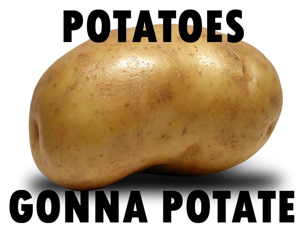 potato_potatoes_gonna_potate_abstract_hd-wallpaper-529556.jpg
