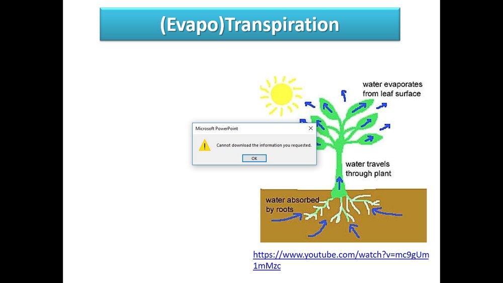 ppt screen shot.jpg