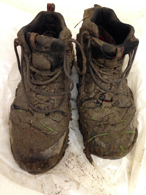 roughntumble2016Boots.jpg