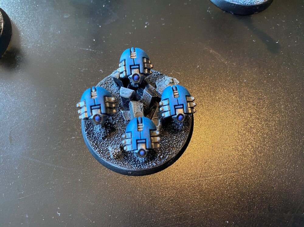 scarabs.jpg
