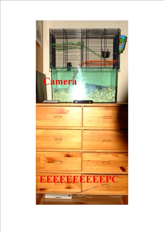 setup.jpg