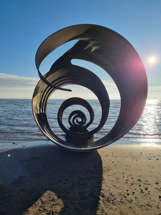 shell.jpg