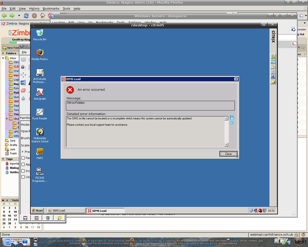 sims error.png