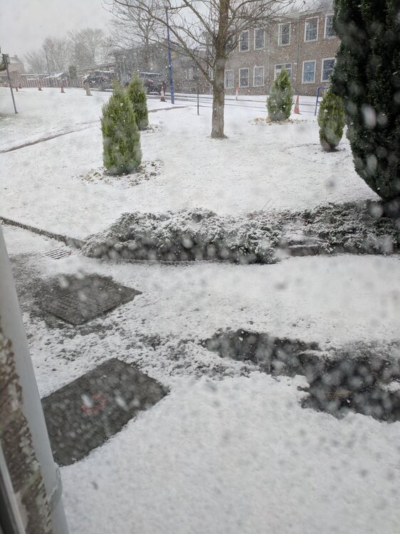 snow.jpg
